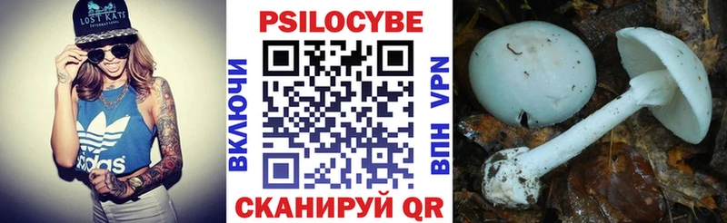 Псилоцибиновые грибы мицелий  Москва 
