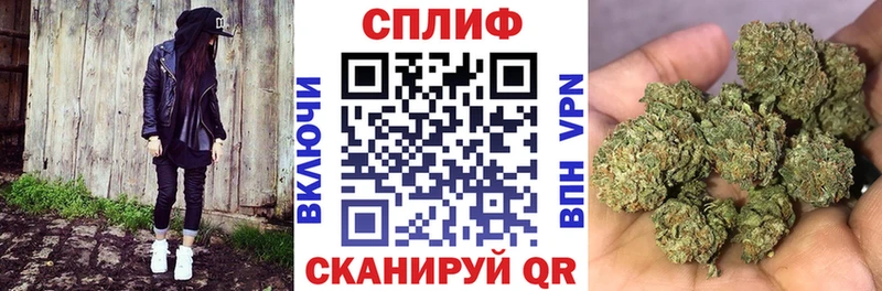 Бошки Шишки планчик  Москва 